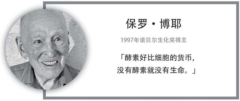 名人名言灰6.png