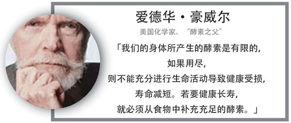名人名言灰4.png
